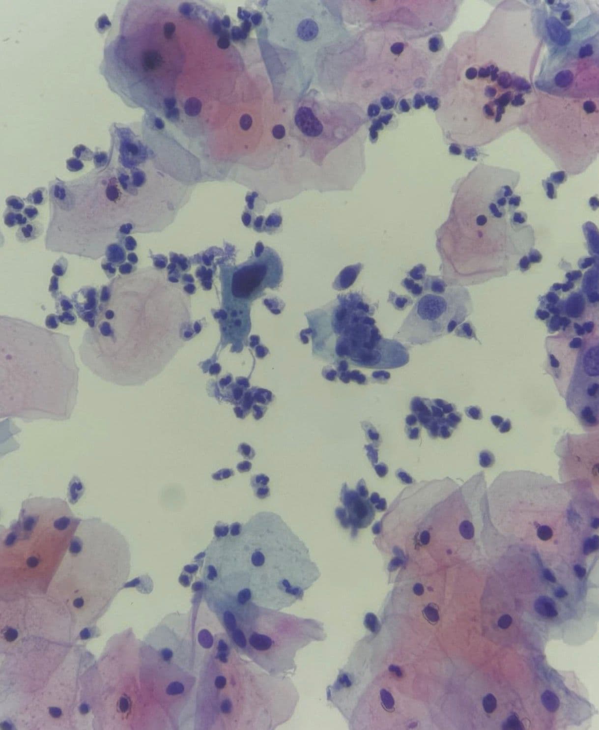 Citopatologia